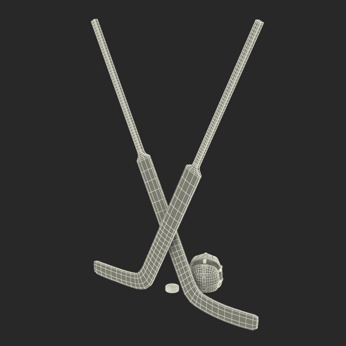 Hockey Equipment 3D Models Collection 3D
