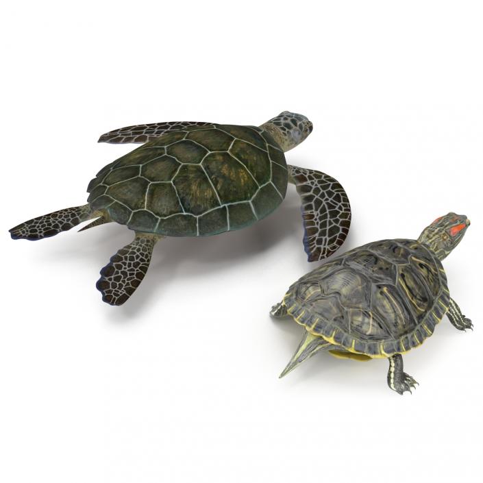 3D model Rigged Turtles 3D Models Collection