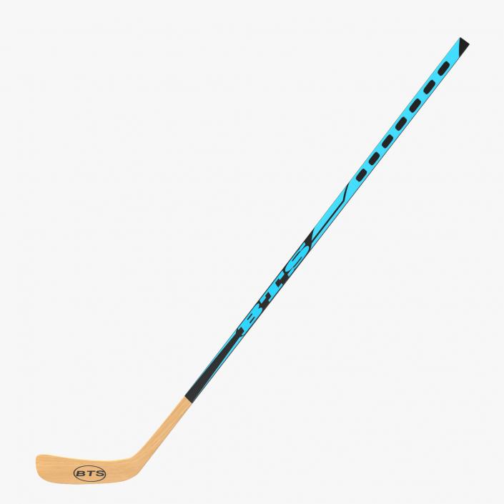 Hockey Stick 3D