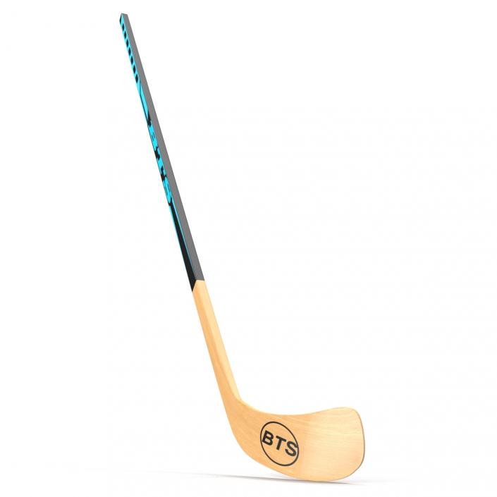 Hockey Stick 3D