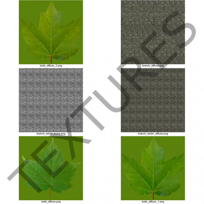 Young Tree Red Maple Summer 3D