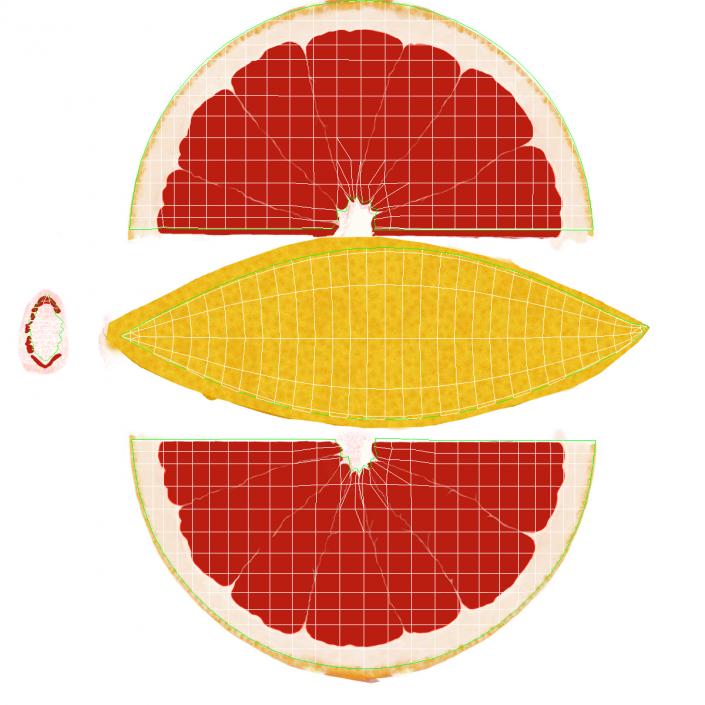 3D Grapefruit Slice 2 model