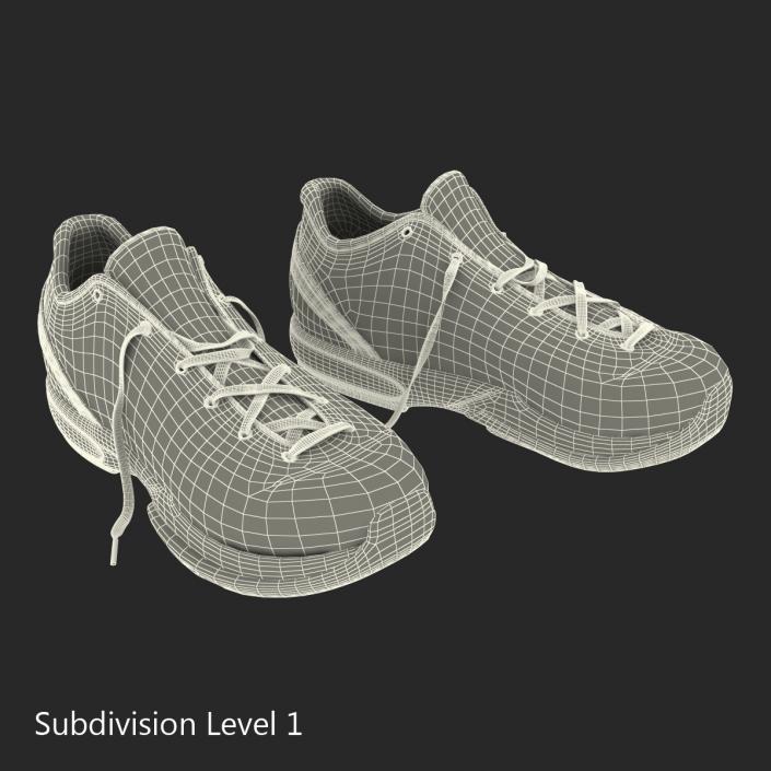 Sneakers Nike Zoom Black 3D model