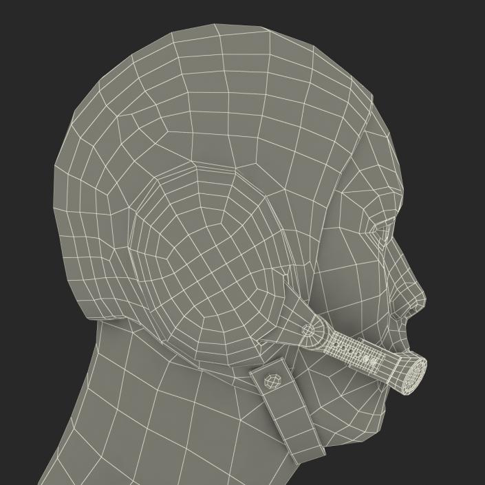 3D model Chinese Pilot Head Rigged