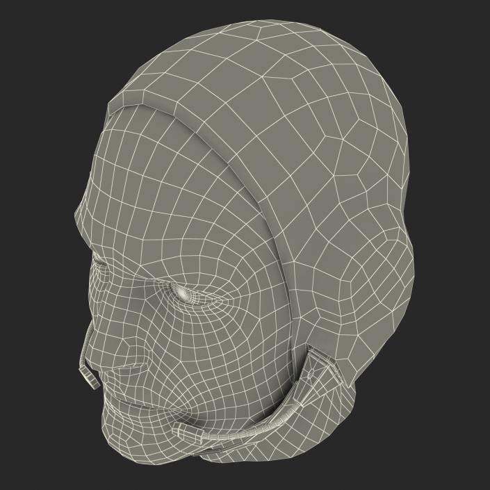 Astronaut Head 3D model