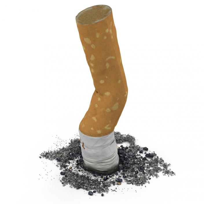 3D Snuffed Cigarette Camel model