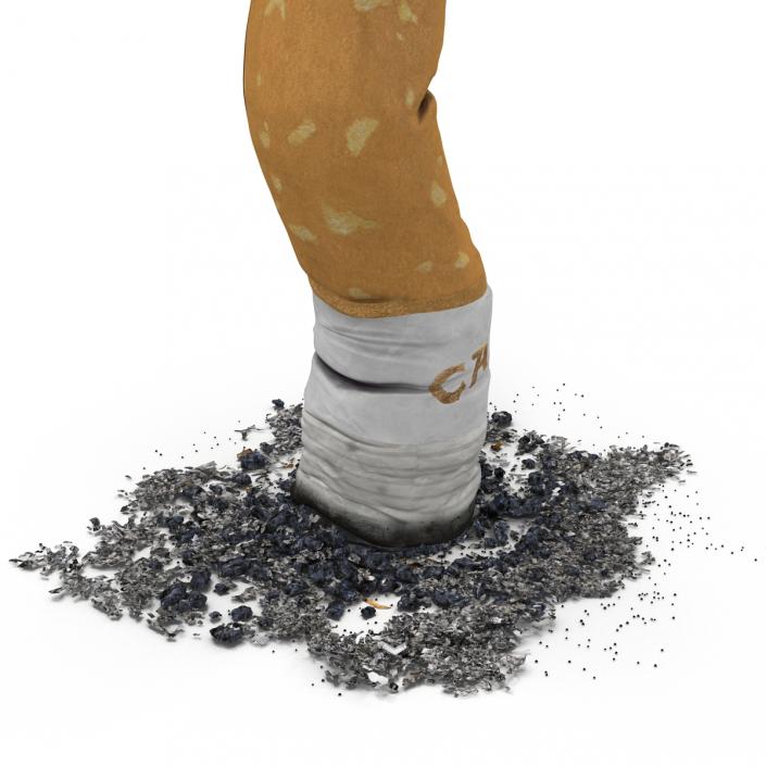3D Snuffed Cigarette Camel model