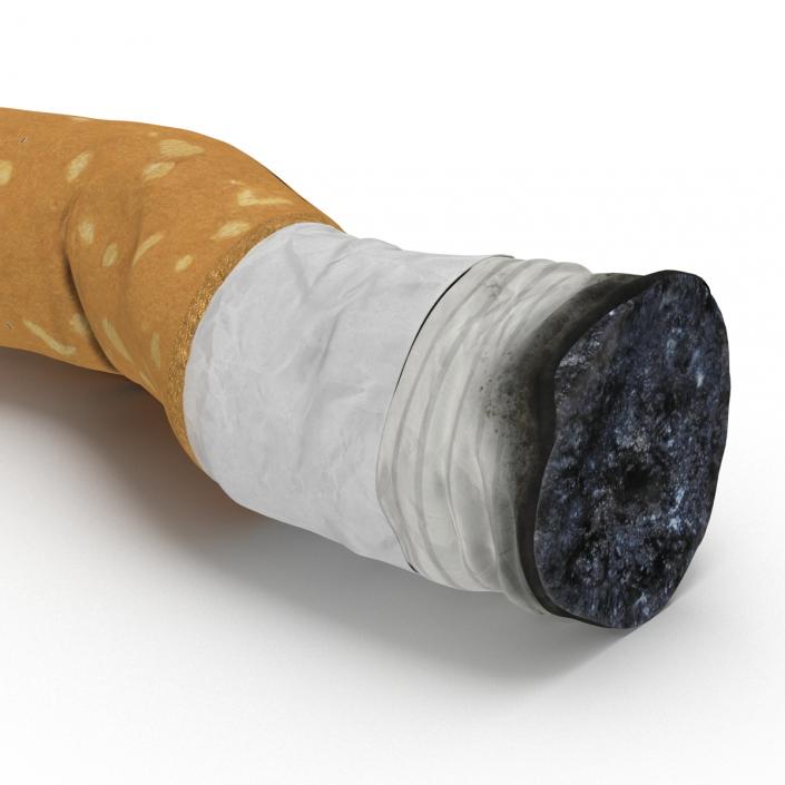 Snuffed Cigarette 2 3D model