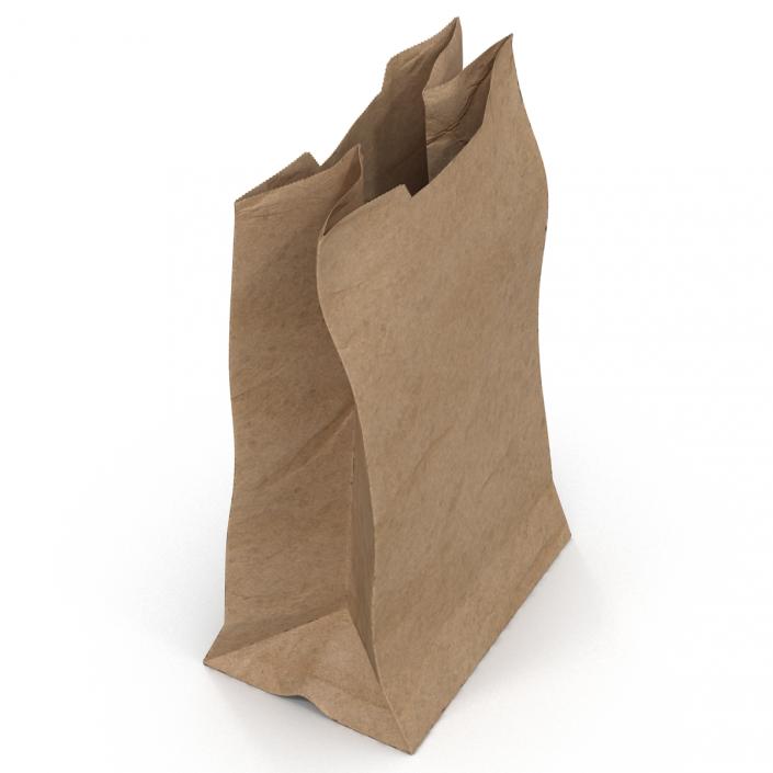 Paper Bag 3D model