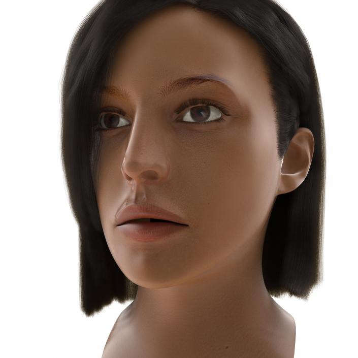 Mediterranean Woman Head with Hair 3D model
