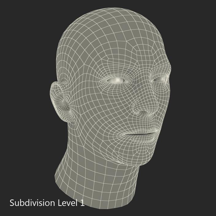 Male Head with Hair Sculpt | 3D model