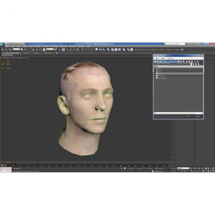 3D Male Head with Hair 2