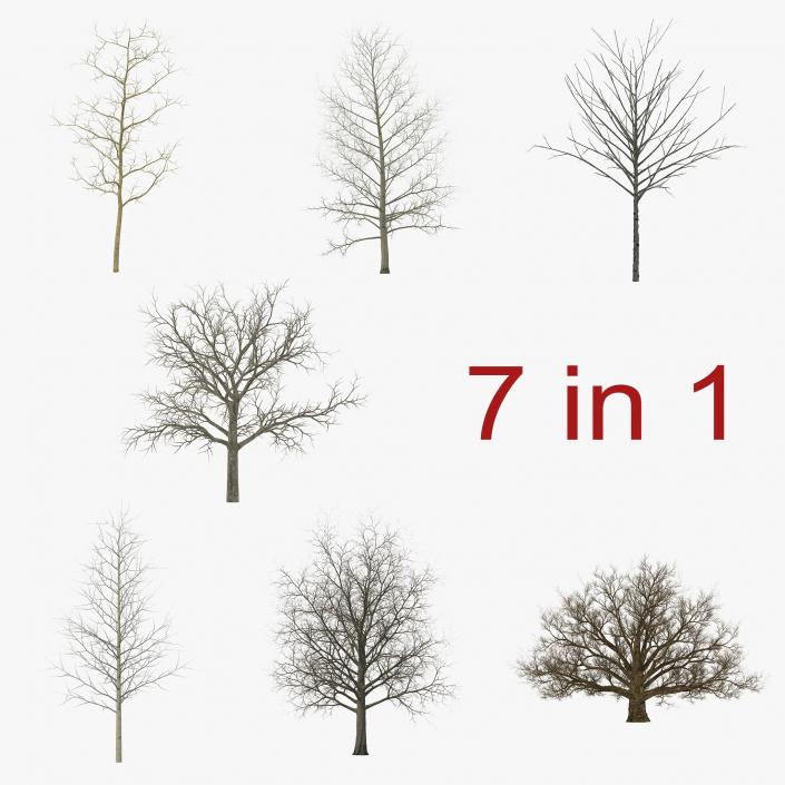3D Winter Trees Collection model