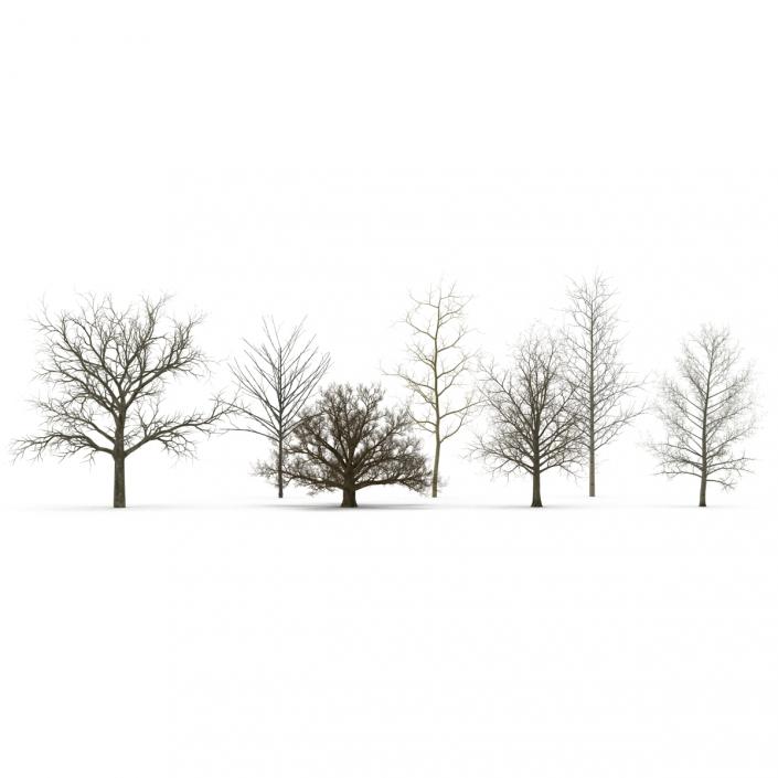 3D Winter Trees Collection model