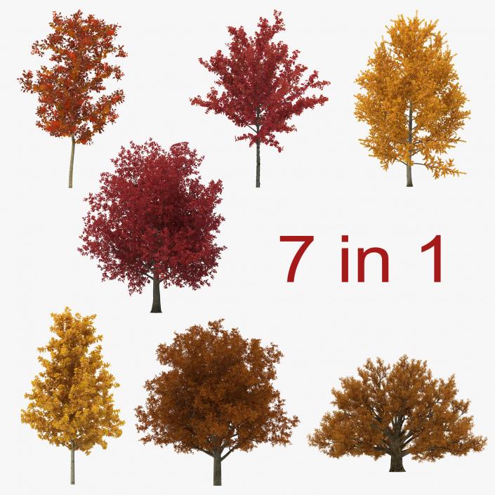 3D Autumn Trees Collection model