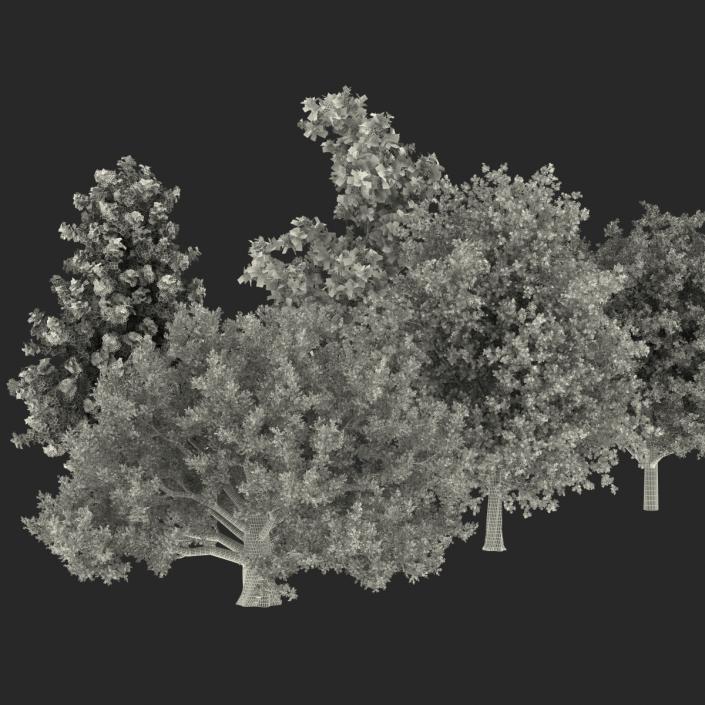 3D Autumn Trees Collection model