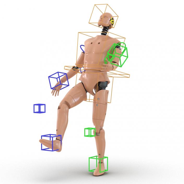3D Male Crash Test Dummy Rigged model