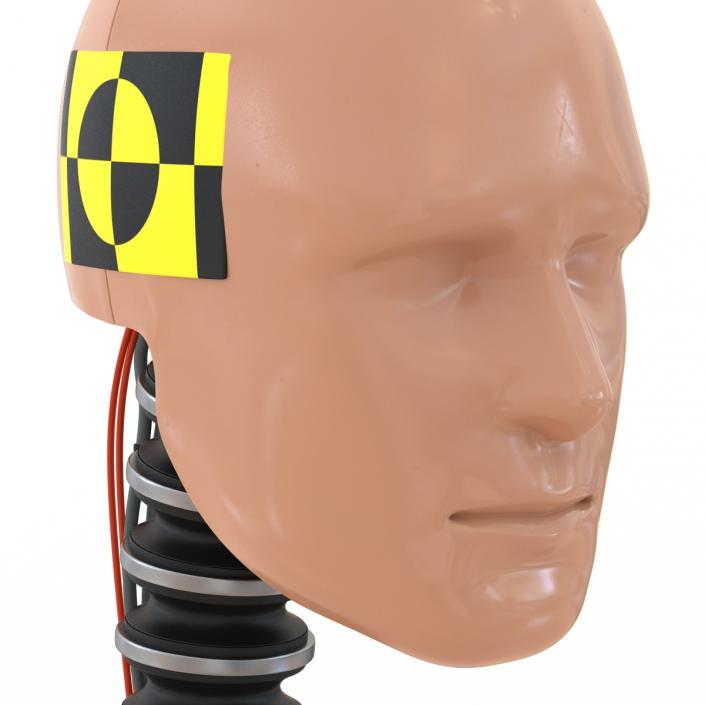 3D Male Crash Test Dummy Head