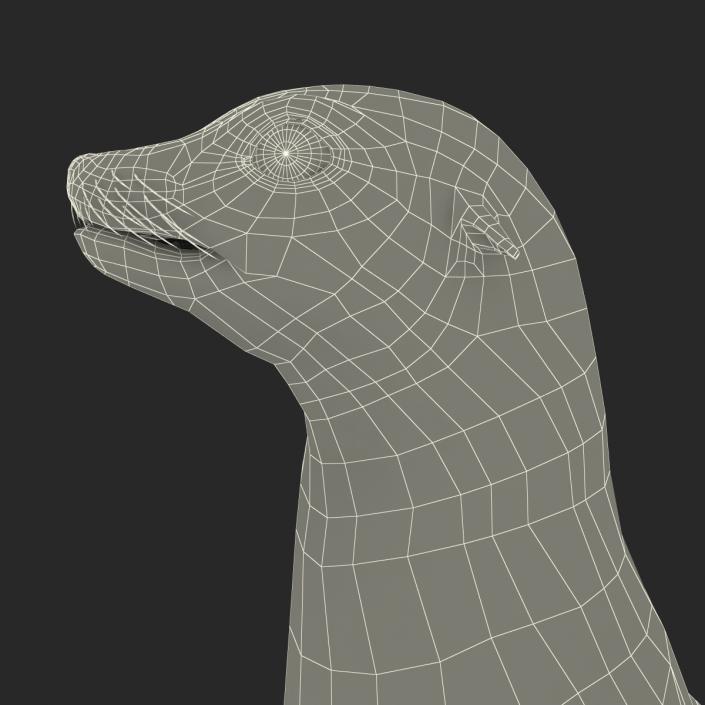 3D model Sea Lion Pose 2