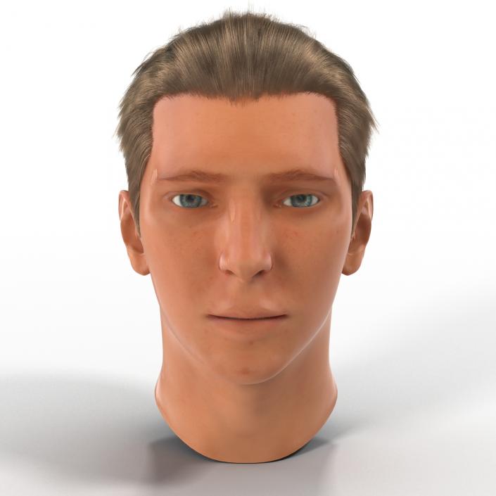 3D Male Head Rigged 2 model