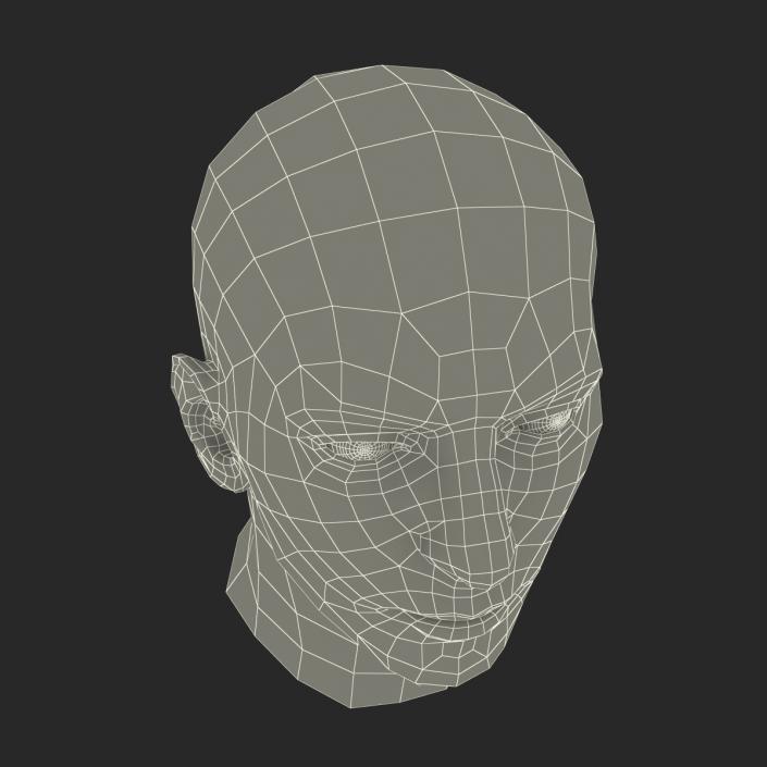 3D Male Head Rigged 2 model