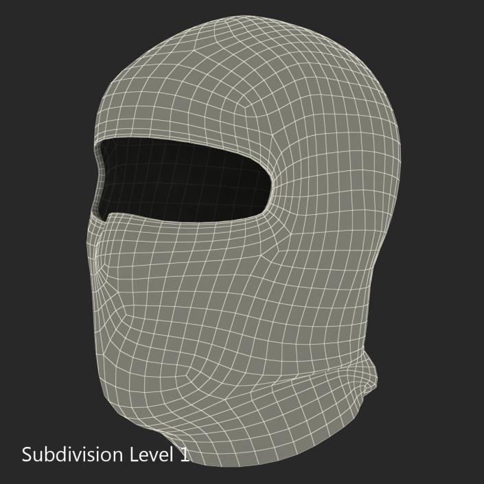 Balaclava Face Mask 3D model
