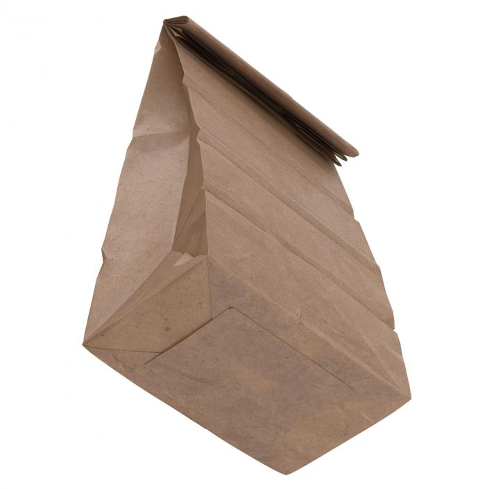 3D Paper Bag 2