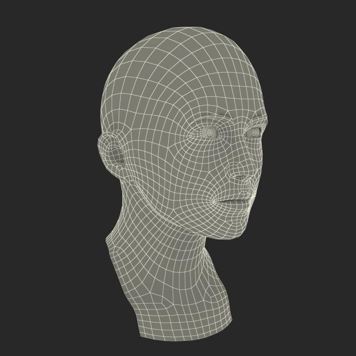 3D Female Caucasian Head Rigged model