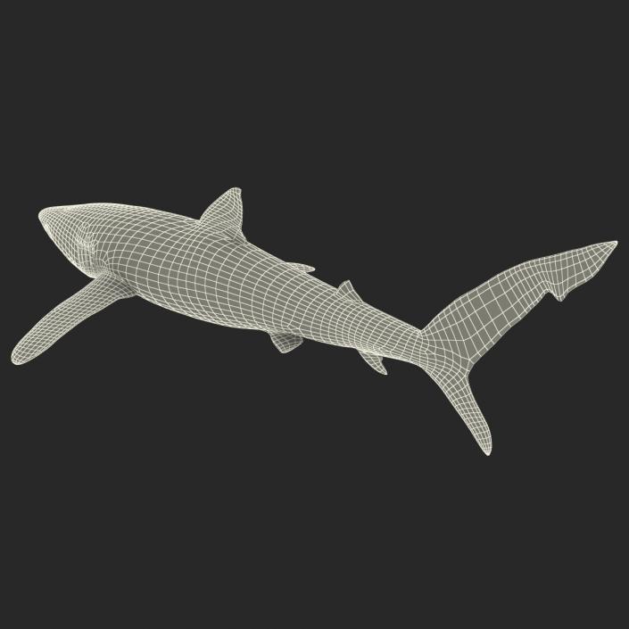 Blue Shark Rigged 3D