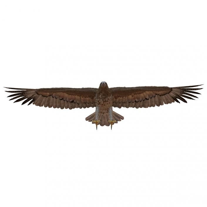 Gurney Eagle 3D