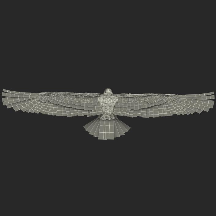 Gurney Eagle 3D