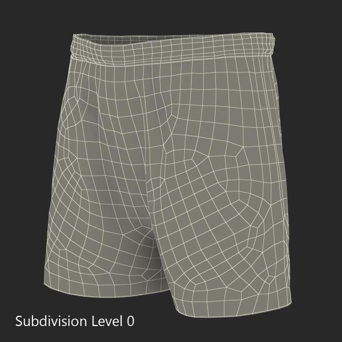 3D Soccer Shorts Blue model