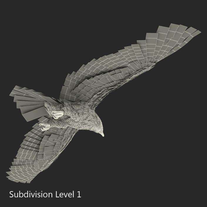 Gurney Eagle Pose 7 3D model