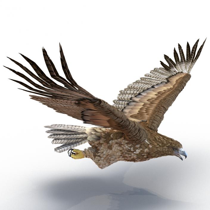 Gurney Eagle Pose 6 3D model