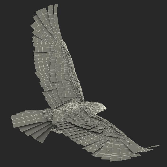 Gurney Eagle Pose 6 3D model
