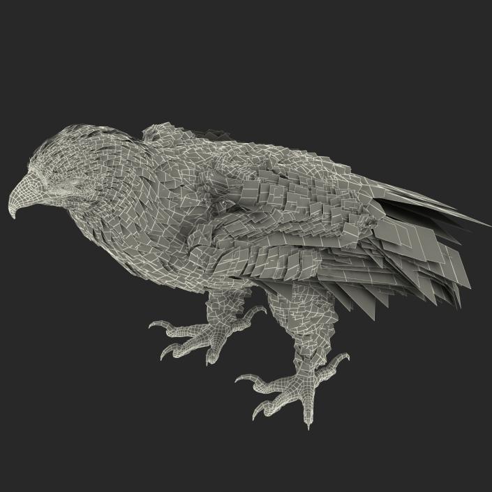 Gurney Eagle Pose 5 3D model