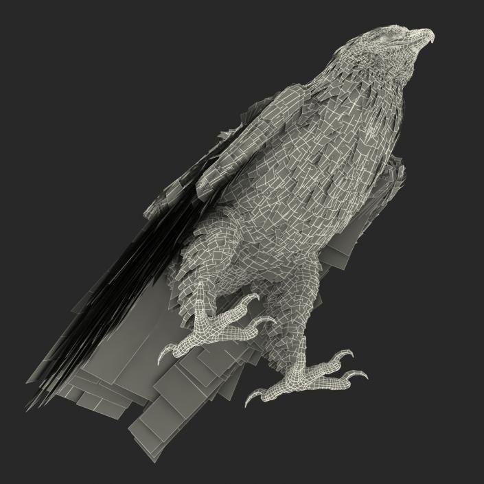 Gurney Eagle Pose 5 3D model