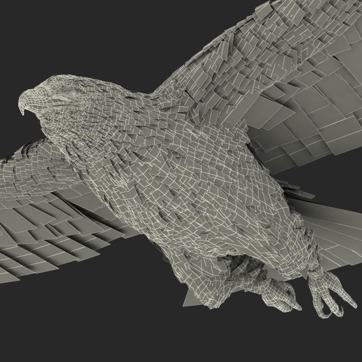 Gurney Eagle Pose 3 3D model