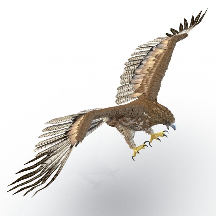 Gurney Eagle Pose 2 3D model