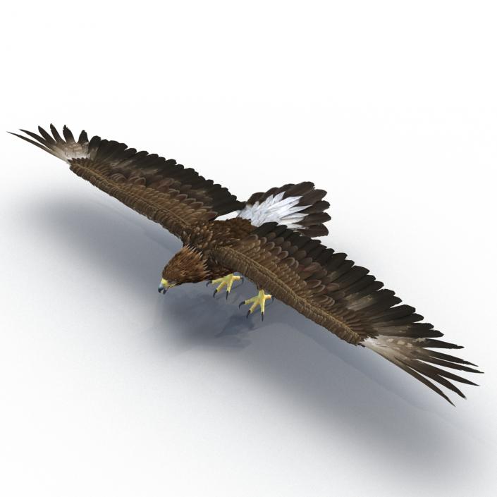 Golden Eagle 3D
