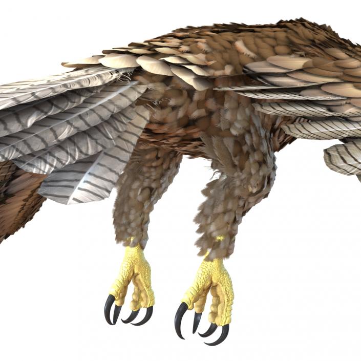 Gurney Eagle Pose 4 3D model