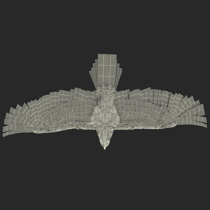 Gurney Eagle Pose 4 3D model