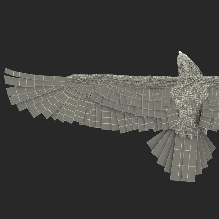 Golden Eagle Pose 7 3D model