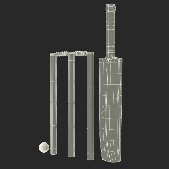 3D model Cricket Collection 2