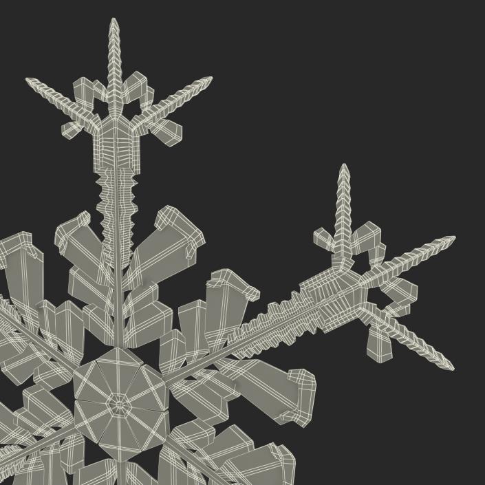 3D Snowflake 4