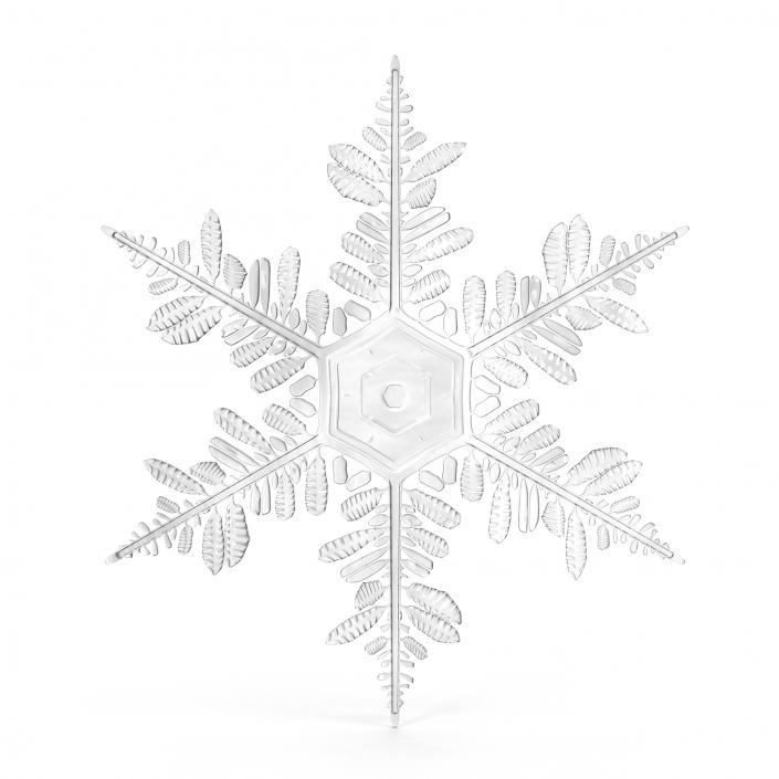 3D Snowflake 5