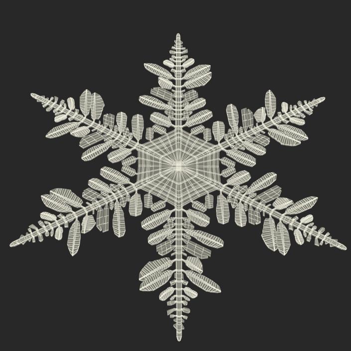 3D Snowflake 5