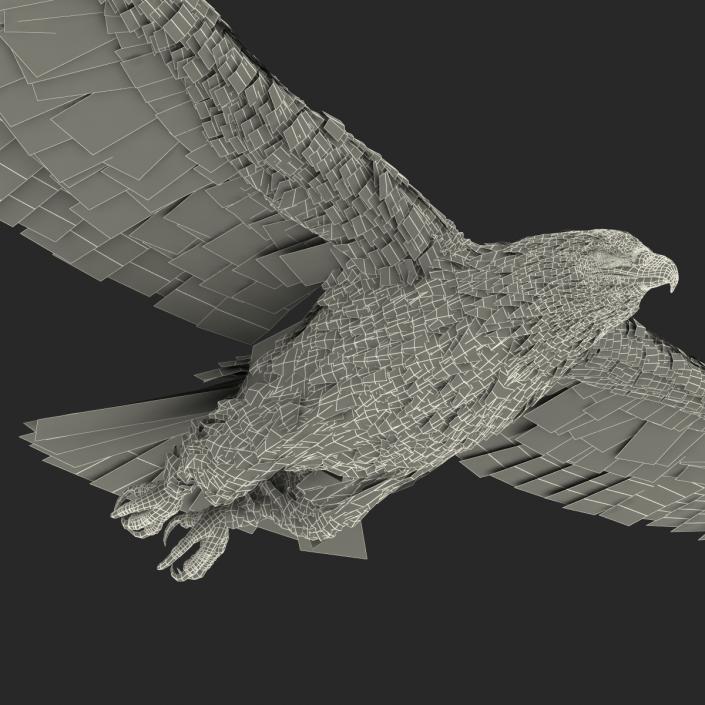 Bald Eagle Pose 3 3D