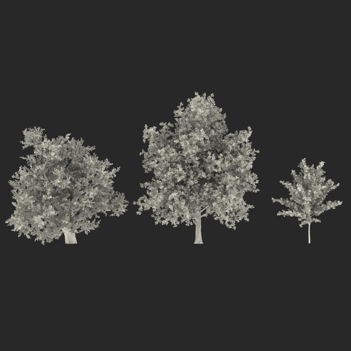 3D Autumn Red Maple Trees 3D Models Collection model
