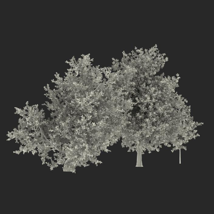 3D Autumn Red Maple Trees 3D Models Collection model